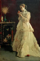 A. Stevens, The Lady in Pink